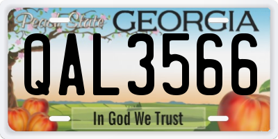 GA license plate QAL3566