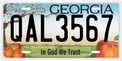 GA license plate QAL3567