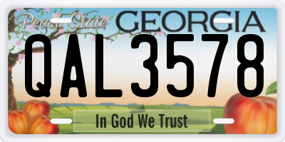 GA license plate QAL3578