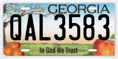 GA license plate QAL3583