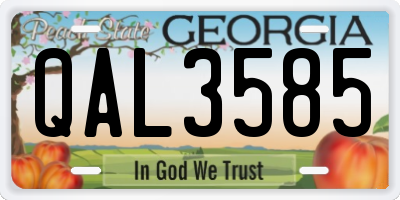 GA license plate QAL3585