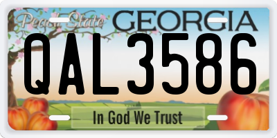 GA license plate QAL3586