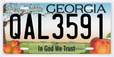 GA license plate QAL3591