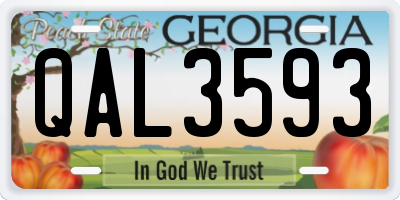 GA license plate QAL3593