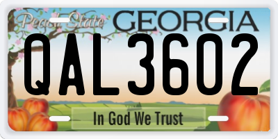 GA license plate QAL3602