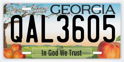 GA license plate QAL3605