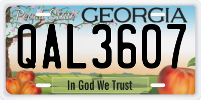 GA license plate QAL3607