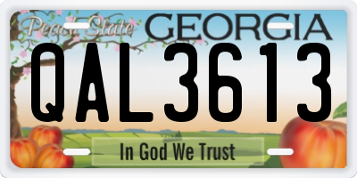 GA license plate QAL3613