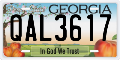 GA license plate QAL3617