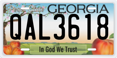 GA license plate QAL3618