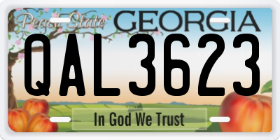 GA license plate QAL3623