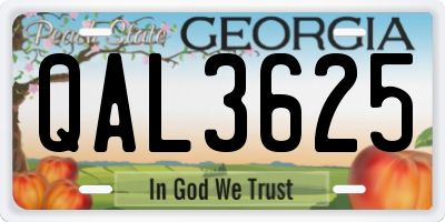 GA license plate QAL3625