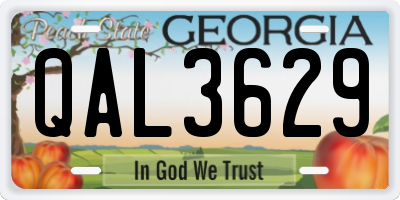 GA license plate QAL3629