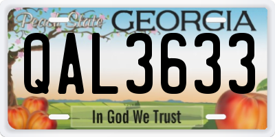 GA license plate QAL3633