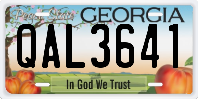 GA license plate QAL3641