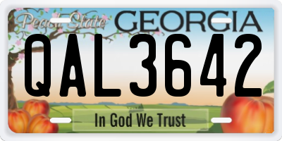 GA license plate QAL3642