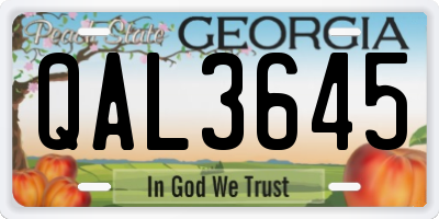 GA license plate QAL3645