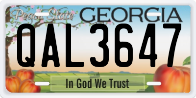 GA license plate QAL3647