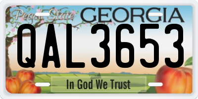 GA license plate QAL3653