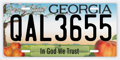 GA license plate QAL3655