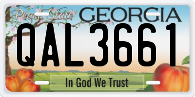 GA license plate QAL3661