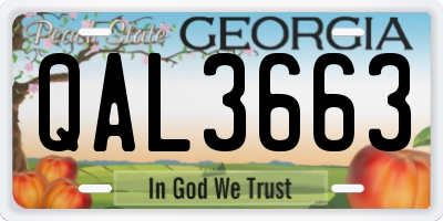 GA license plate QAL3663