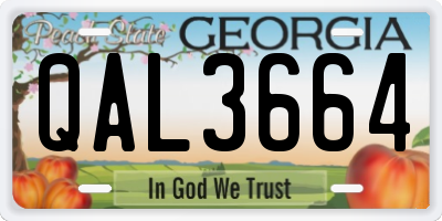 GA license plate QAL3664