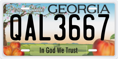 GA license plate QAL3667