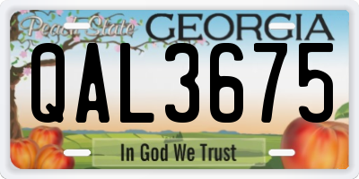 GA license plate QAL3675