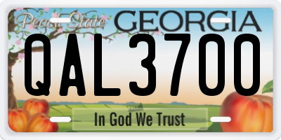 GA license plate QAL3700