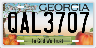 GA license plate QAL3707