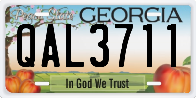 GA license plate QAL3711