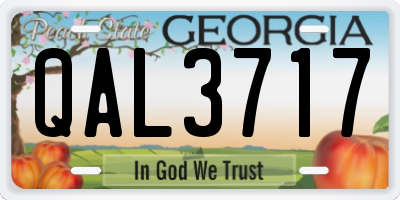 GA license plate QAL3717