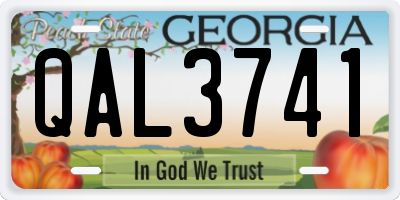 GA license plate QAL3741