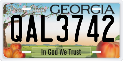 GA license plate QAL3742