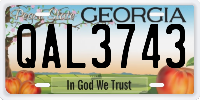 GA license plate QAL3743