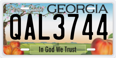 GA license plate QAL3744