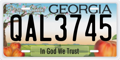 GA license plate QAL3745