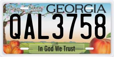 GA license plate QAL3758