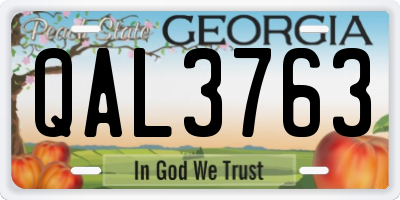 GA license plate QAL3763