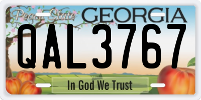 GA license plate QAL3767