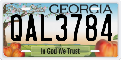 GA license plate QAL3784