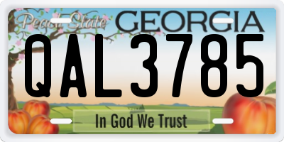 GA license plate QAL3785