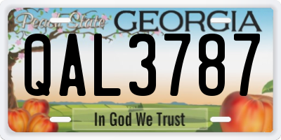 GA license plate QAL3787