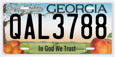 GA license plate QAL3788