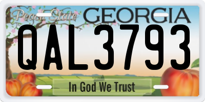 GA license plate QAL3793