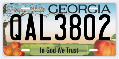 GA license plate QAL3802