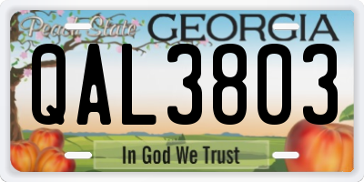 GA license plate QAL3803