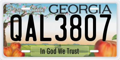 GA license plate QAL3807