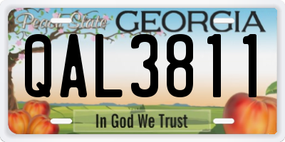 GA license plate QAL3811